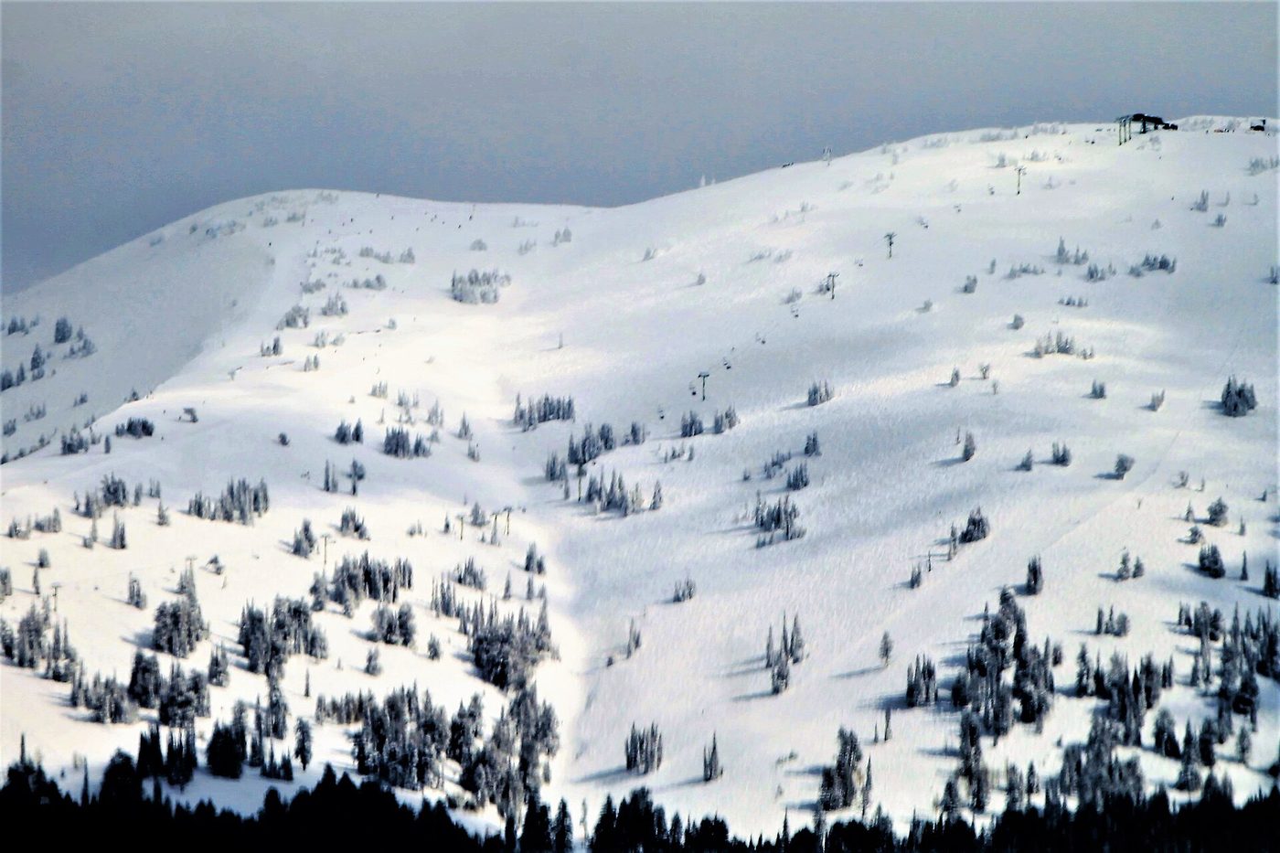 Open, tree-lined ski terrain at Grand Targhee, Wyoming, with a chairlift visible along the ridge