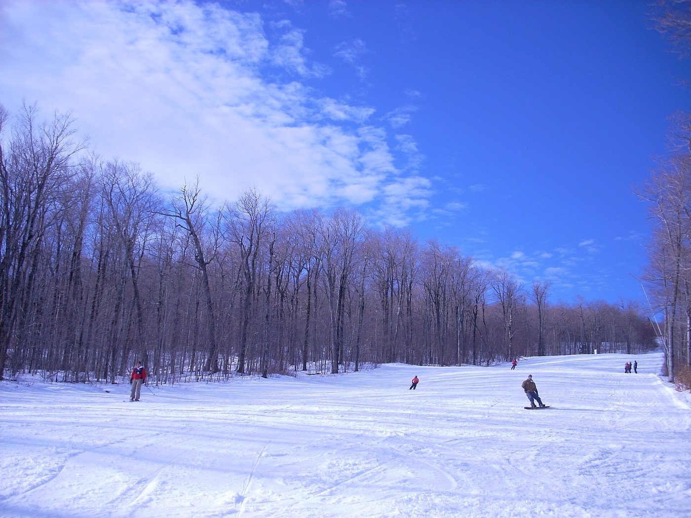Skiers and a snowboarder on a wide groomed trail lined with bare hardwoods in New England