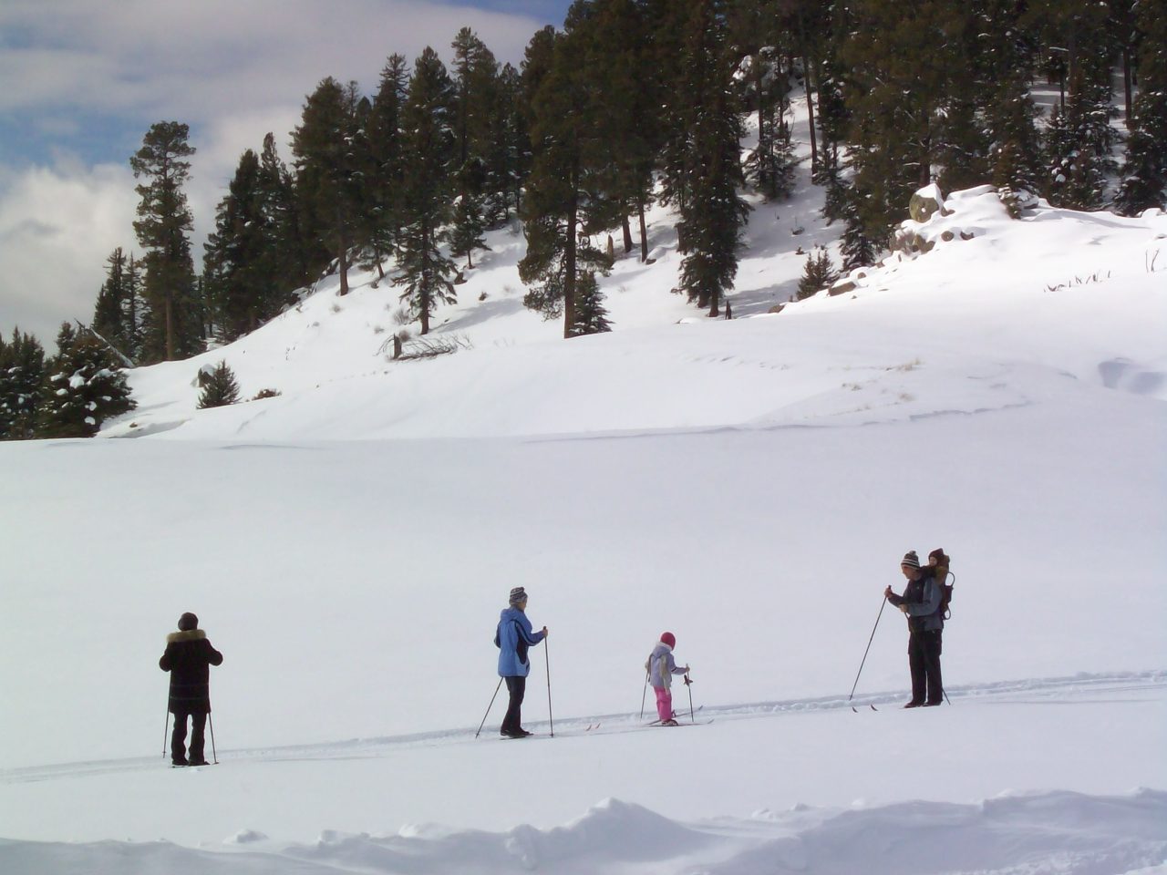 A family cross-country skiing on a groomed trail below a forested slope, with a baby riding in a backpack carrier